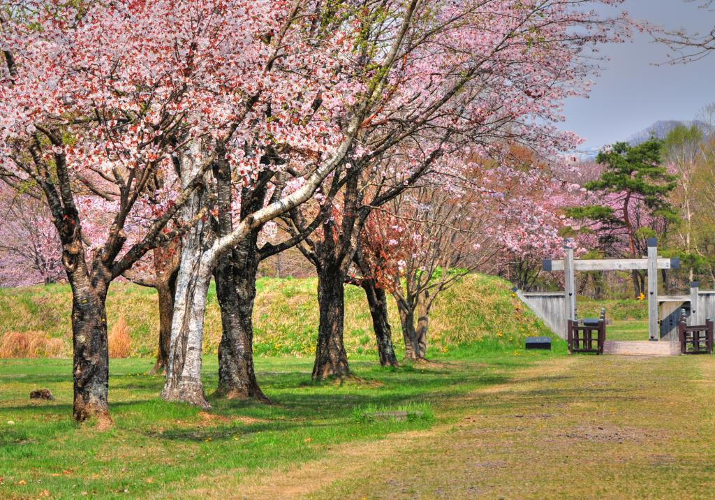 Hotel Izumi Shiraoi Eksteriør bilde