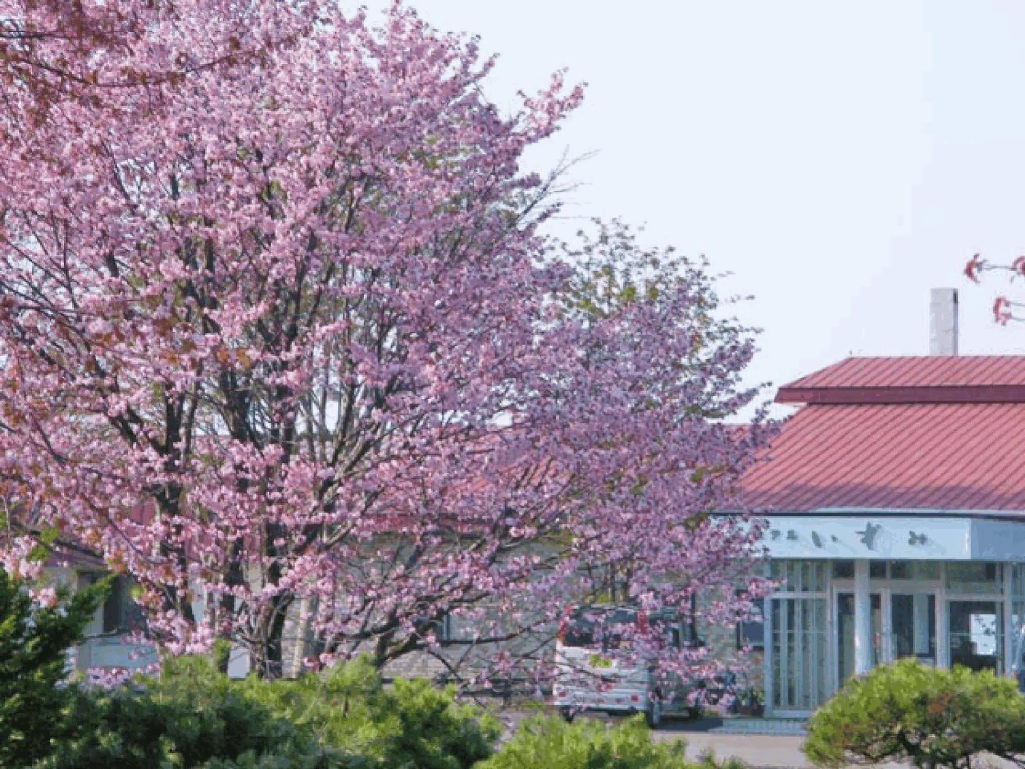 Hotel Izumi Shiraoi Eksteriør bilde